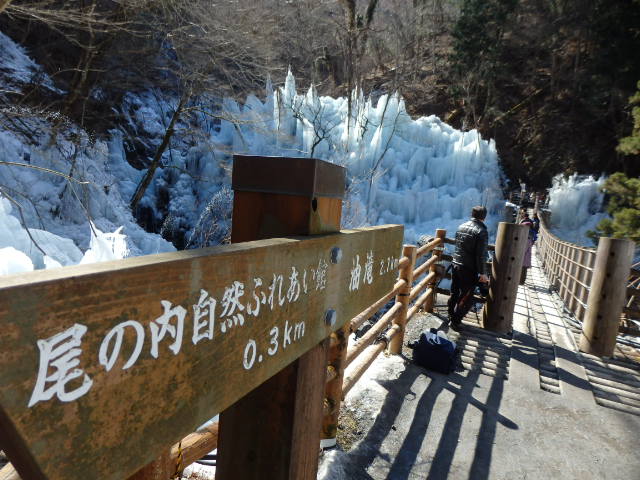 尾ノ内渓谷の氷柱　橋