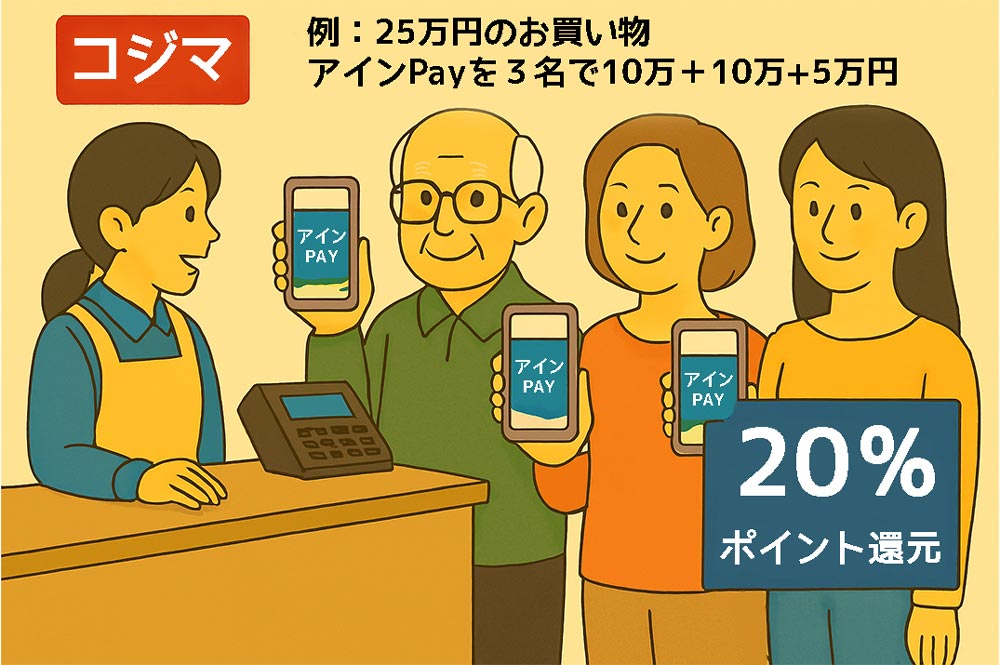 アインPayの高額決済